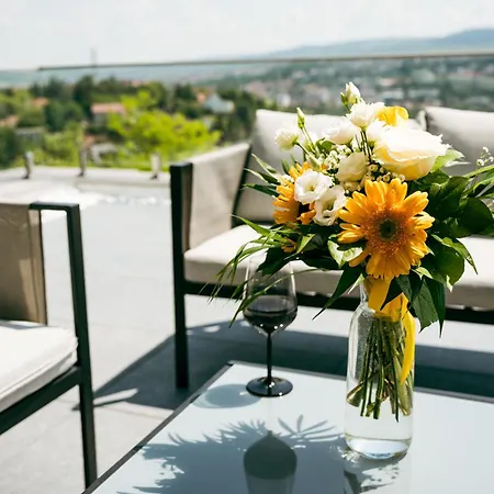 Apartment Evo Panoramic - Cu Superba Si Cada Langa Pat Cluj-Napoca