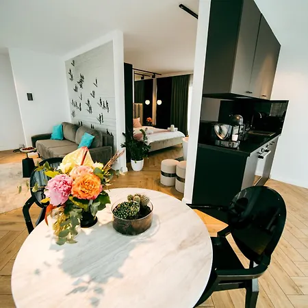 Evo Panoramic - Cu Superba Si Cada Langa Pat Cluj-Napoca