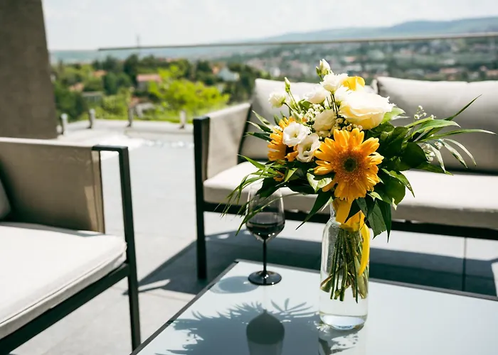 Apartment Evo Panoramic - Cu Superba Si Cada Langa Pat Cluj-Napoca